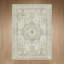 Tapis oriental performance Roehit-1865515422-1848268766