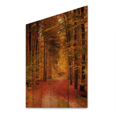 Path Through Red Autumn Forest " Path Through Red Autumn Forest " Graphic Art Print