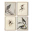 «Vintage Animal Print», ensemble de 4-1028186538