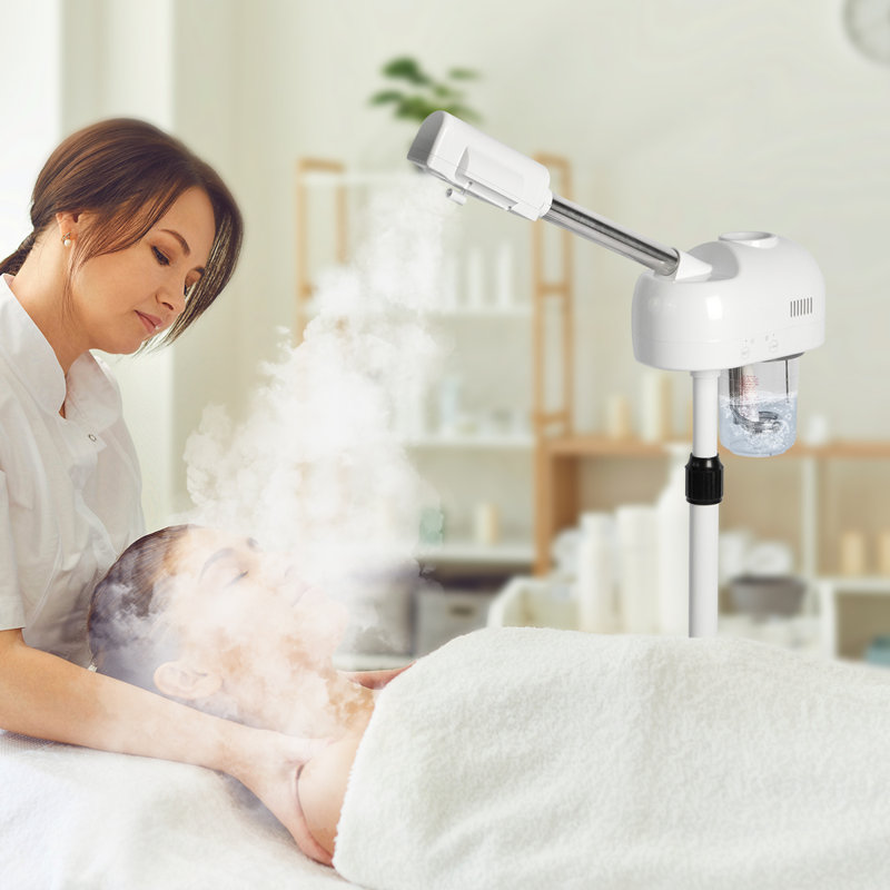 Organisateur de maquillage, vaporisateur pour le visage avec ozone et brume chaude, Blanc
