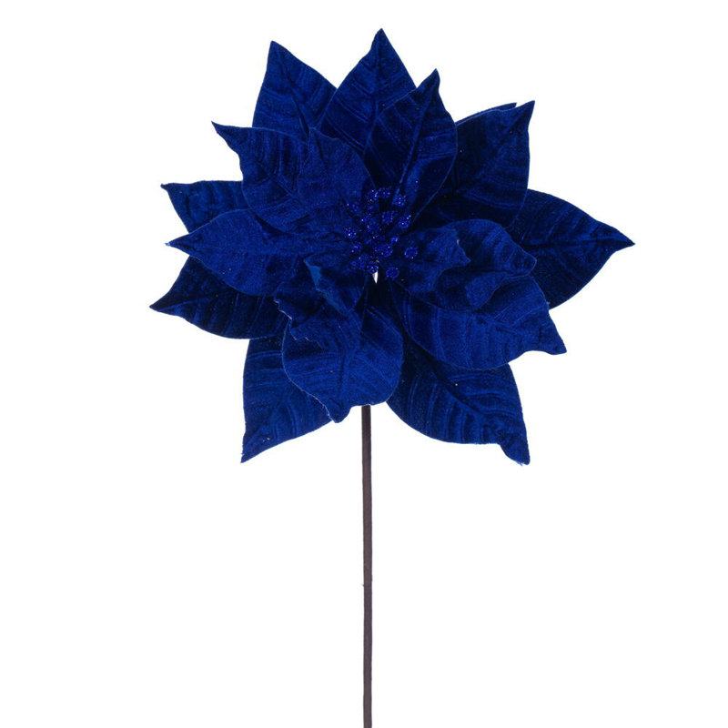 Tiges de poinsettia, Bleu