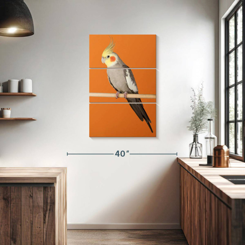 Brampt Cockatiel, 38" H x 24" W