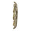 Plaque murale succulente D10x1,4 ", 2 pièces-1491303202