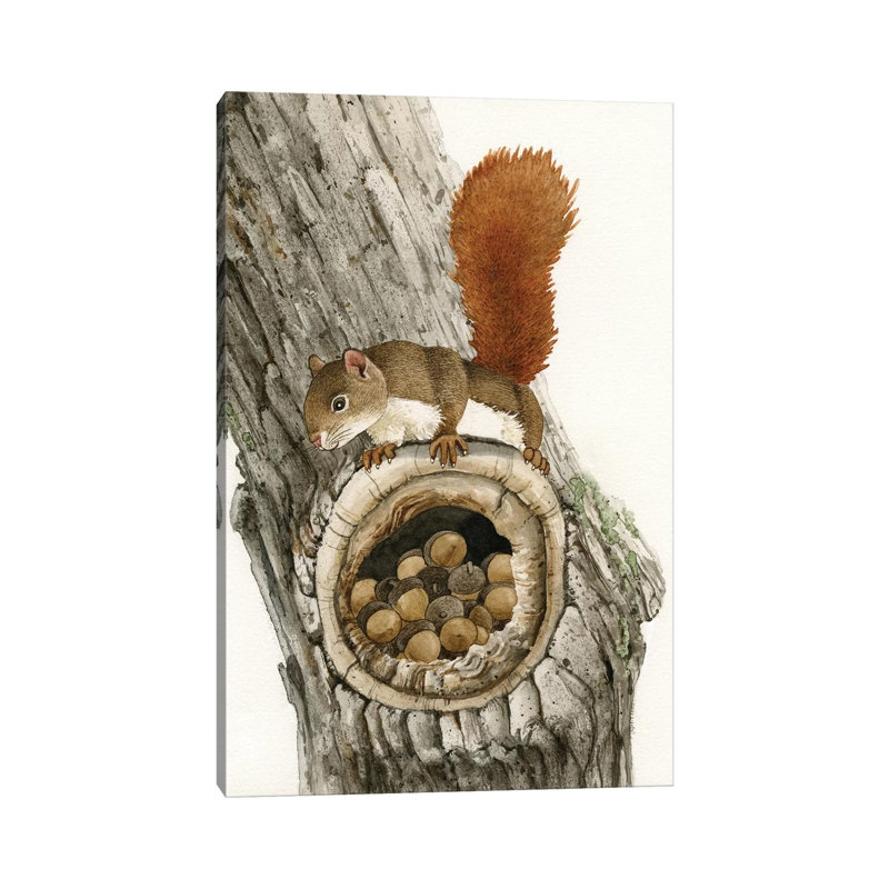 The Nut Collector 1 Piece Wrapped Canvas Painting, 101.6 cm H x 66.04 cm W x 1.91 cm D