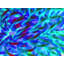 Daydreaming Print by Drew Gaffney-65849457-132457069