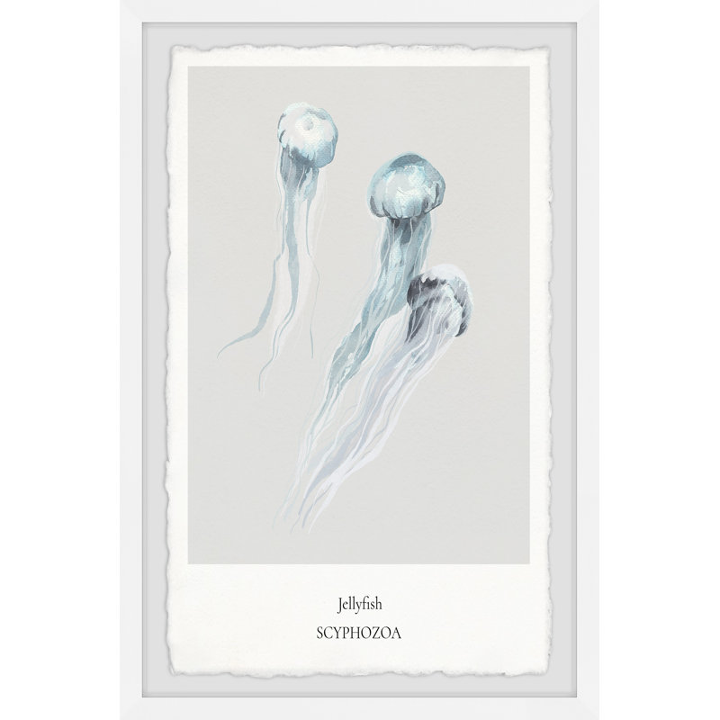 Scyphozoa - Single Picture Frame Print, 45cm H x 38cm W x 3.81cm D