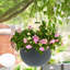 Pot Planter-2038977499