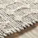 Aquiel Oriental Indoor Rug