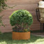 Planter Box-712548692
