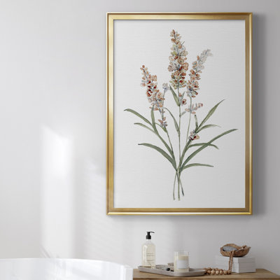Toile encadrée de qualité supérieure Dicat Botanical I - prête à être accrochée