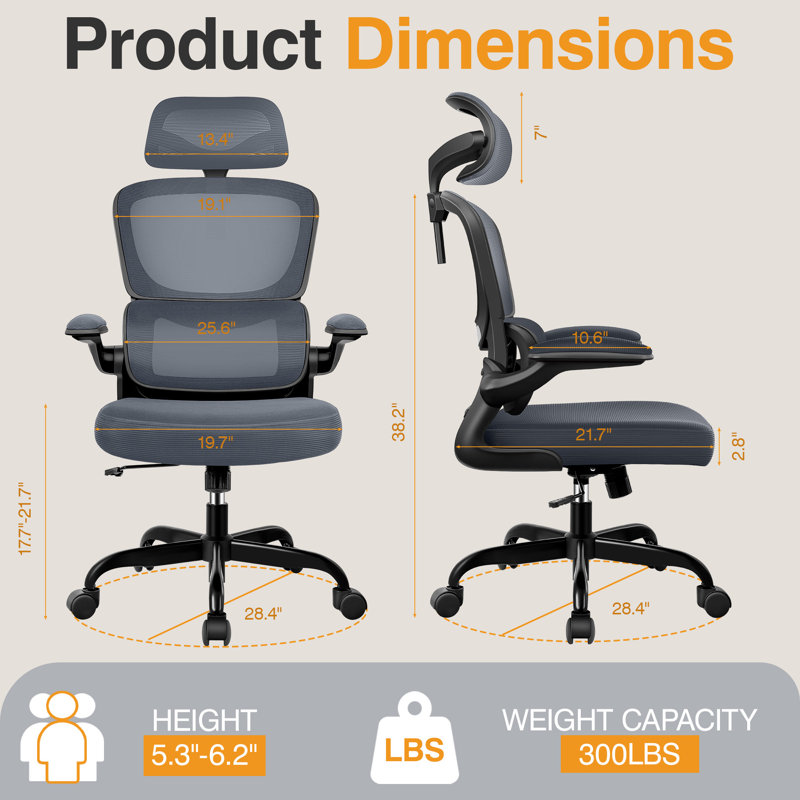 Lidwien Ergonomic Breathable Mesh Office Chair with Adjustable Headrest and Flip-Up Arms, Black/DarkGray