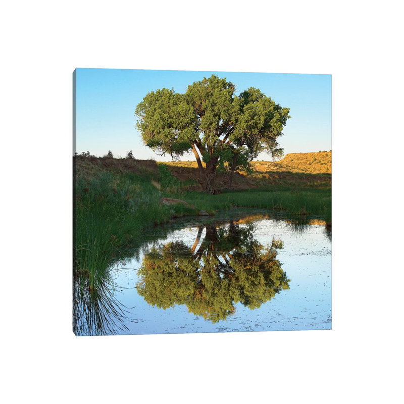 Tree Reflecting In Creek Near Black Mesa State Park, Oklahoma 1 Piece Wall Art on Canvas, 30.48 cm H x 30.48 cm W, Canvas
