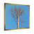 Cadre doré simple