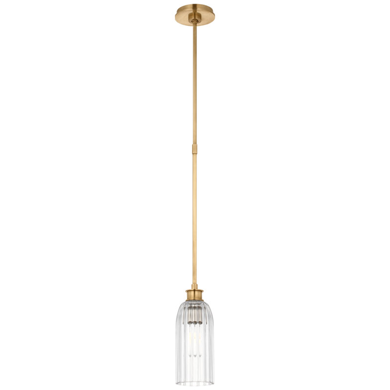 Asalea 1 - Light Pendant, Polished Nickel