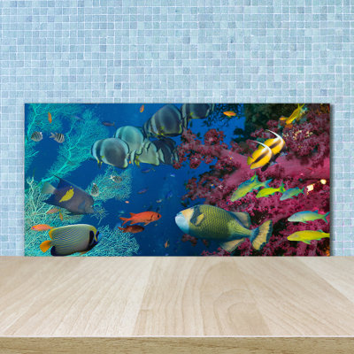 Maida 50cm W x 100cm L Glass Peel and Stick Panel