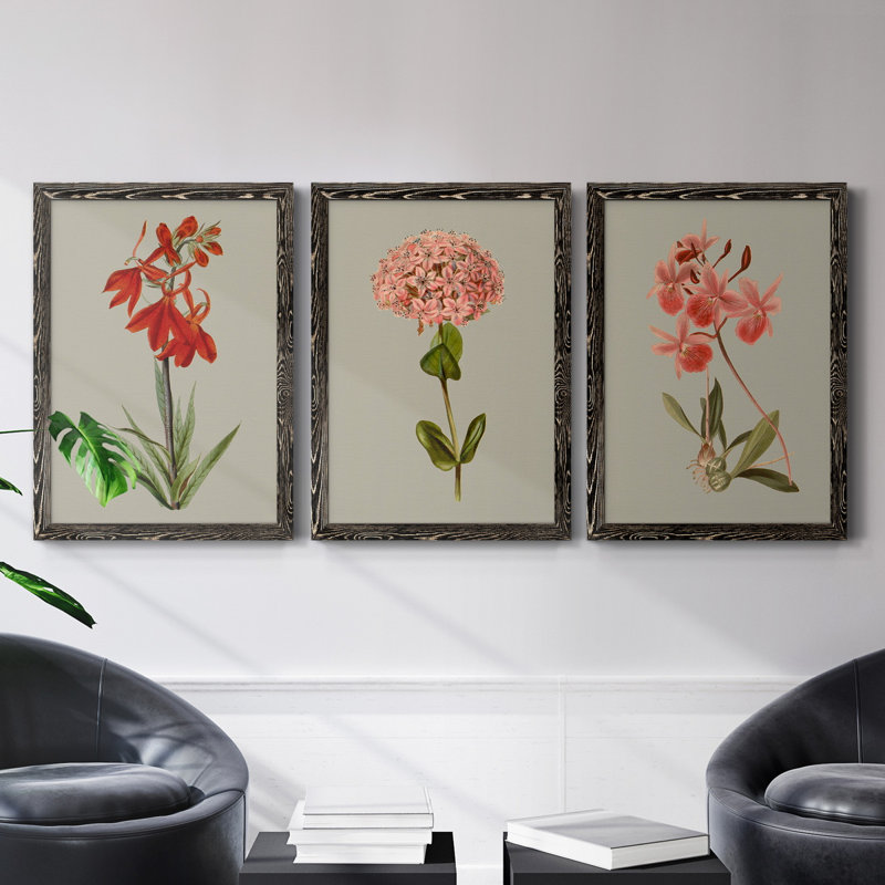 «Botanical Array VII», ensemble de 3 reproductions d'art sur toile, H 31,5 po x l 47 po x P 1,5 po, Toile avec cadre noir