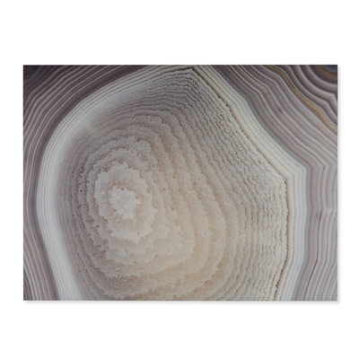 Neutral Agate D Print