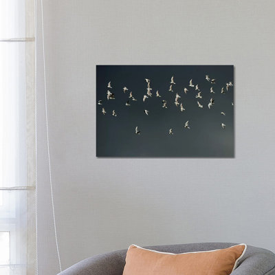 " The Swarm " by Elmar Weiss
