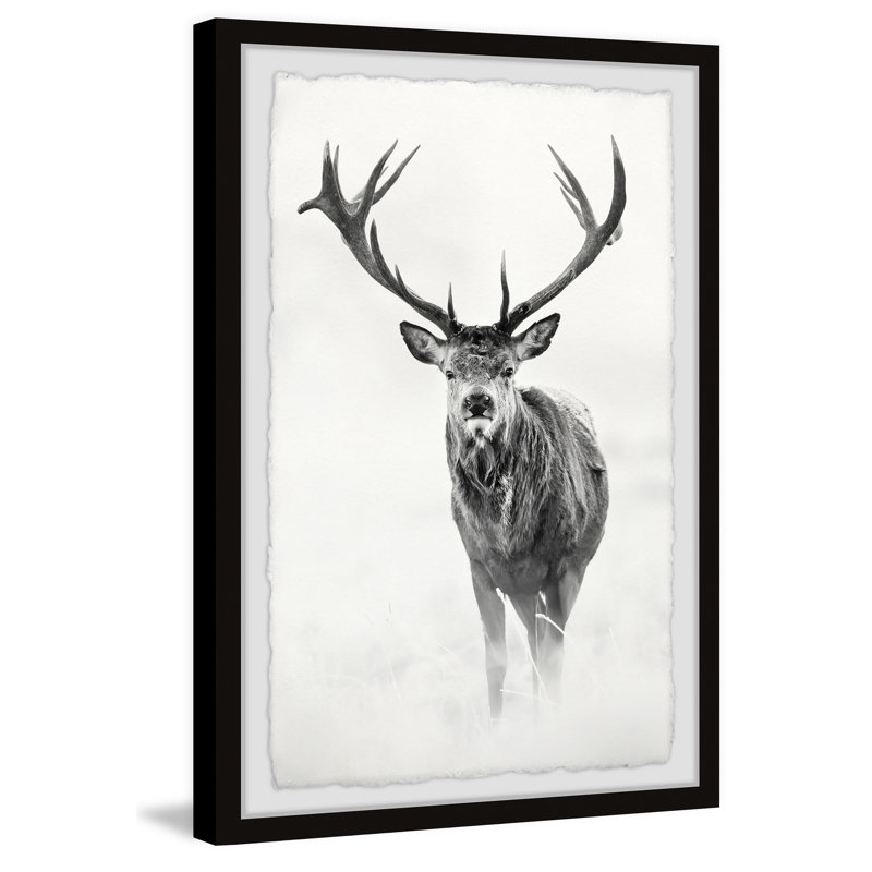 «Elk Stare II», reproduction encadrée, H 36 po x l 24 po x P 1,5 po