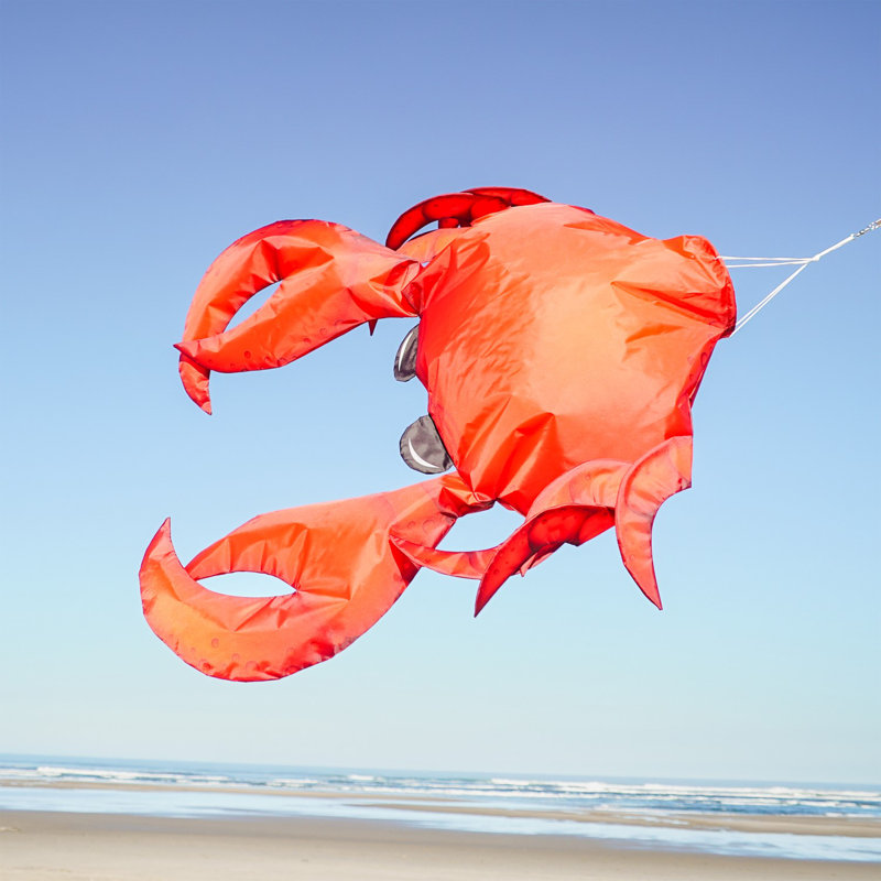 40" Realistic Crab 3D Windsock