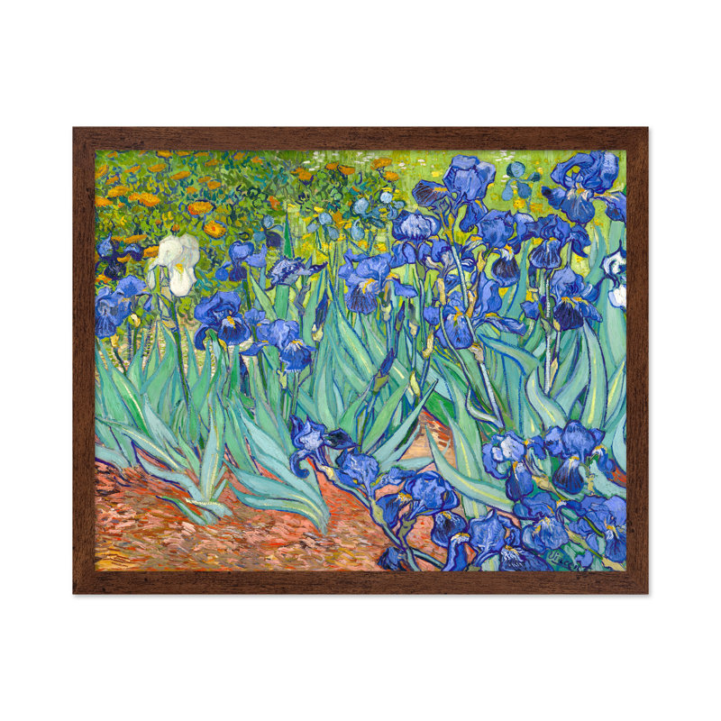 Van Gogh - Iris n ° 1, Affiche, H 08 po x l 10 po, Encadrement brun