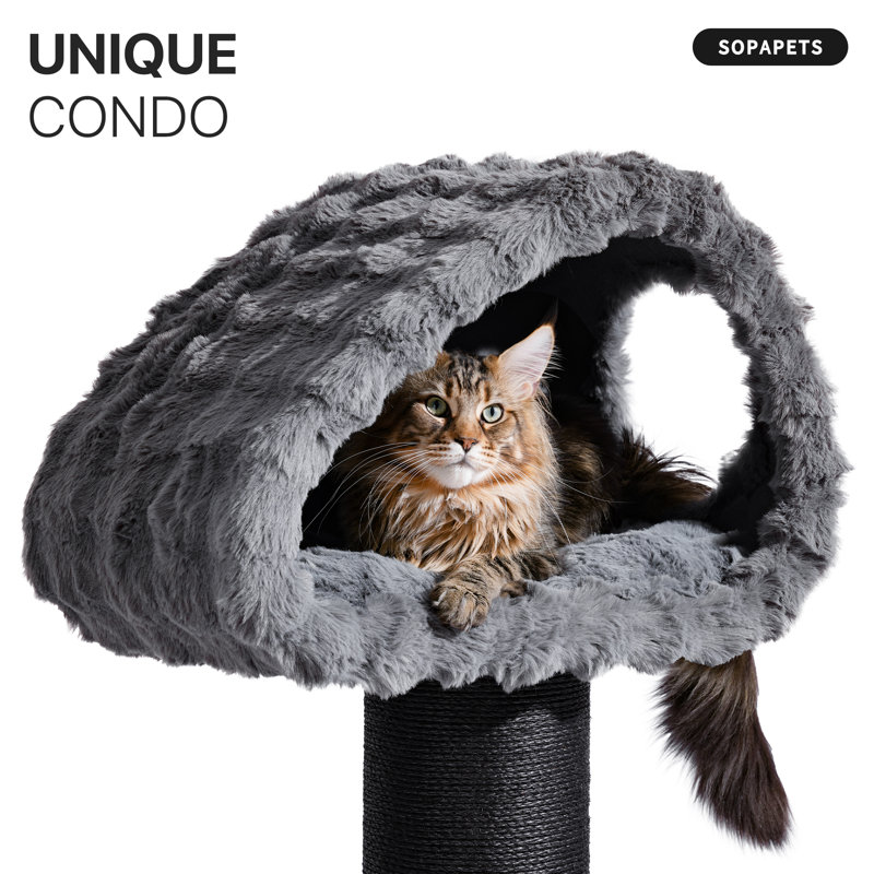 Modern Heavy Duty Cat Tree for Large Cat