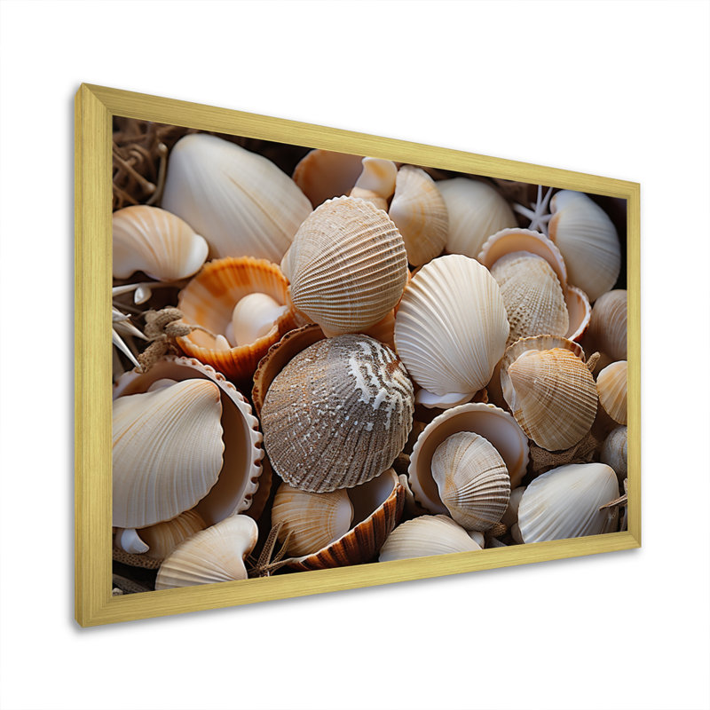 «Beach Photo Seashell Symphony IX - Nautique et plage, reproduction d'art sur toile, H 30 po x l 40 po x P 1,5 po