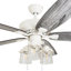 Ventilateur de plafond 52 po avec ensemble d'éclairage Summerstone-44426182-44426181