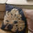 Outdoor Throw Pillow-21725978-21725977