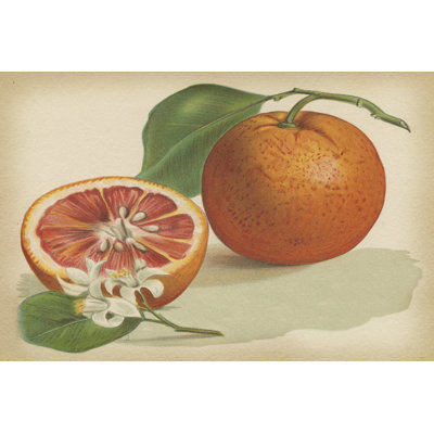 Orange Study I - Wrapped Canvas Print