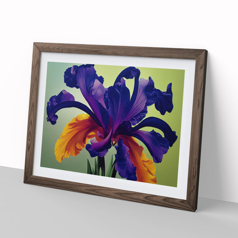 Tranquil Iris Flowers 1 Piece Single Picture Frame Wall Art, 25cm H x 34cm W x 2cm D, Walnut Framed