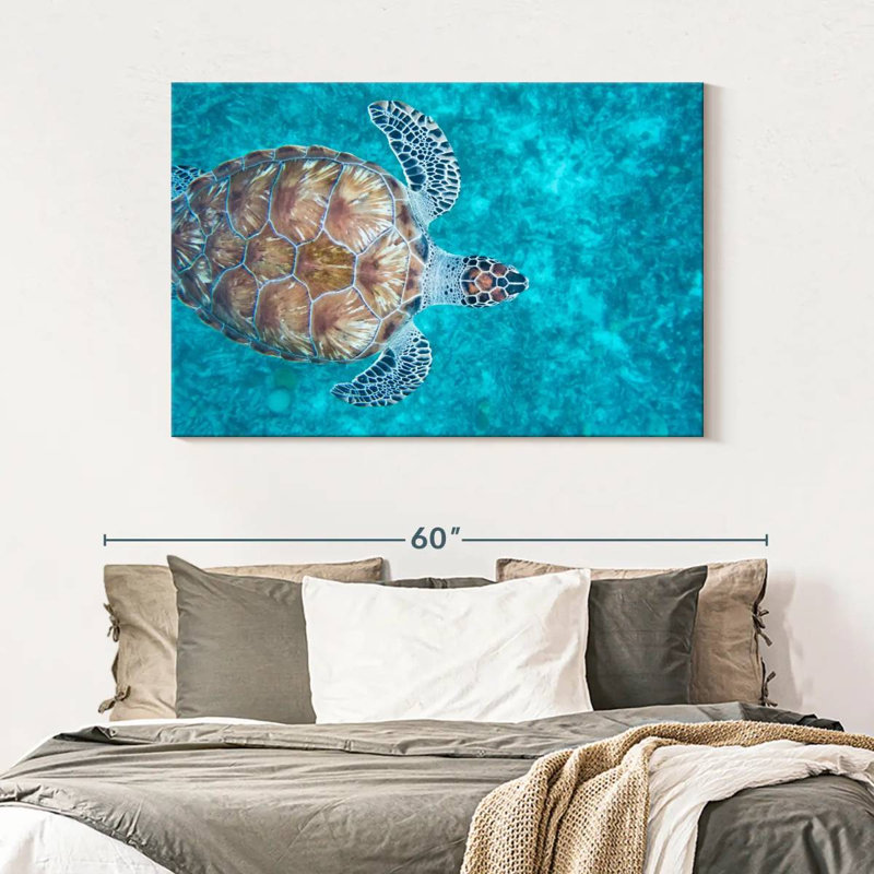 Natation tortue imbriquée, H 32 po x l 48 po