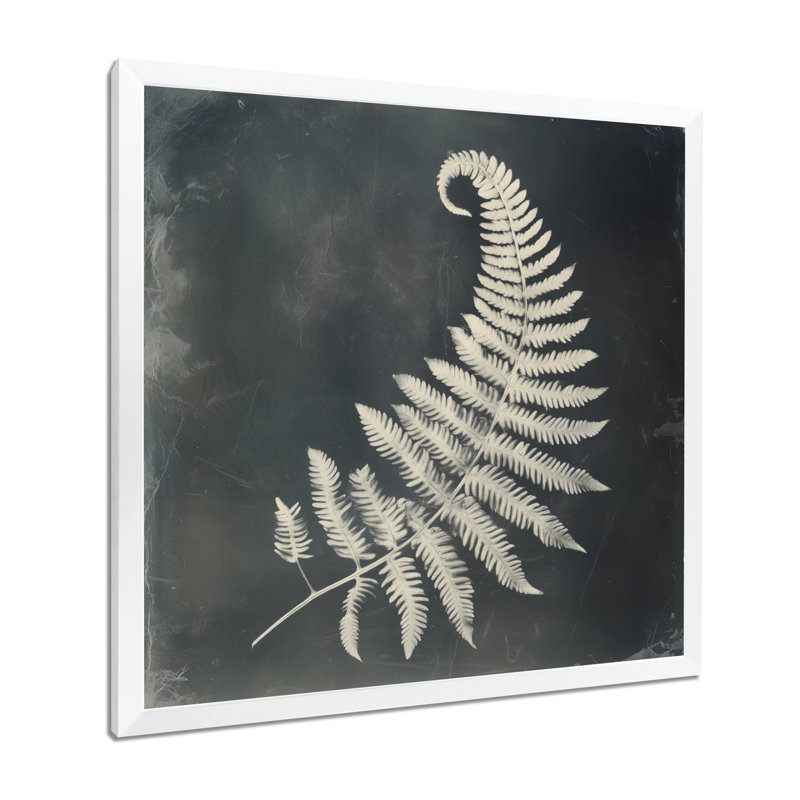 Fougère à l'ombre argentée - Photogramme botanique encadré, H 30 po x l 30 po, White Picture Framed