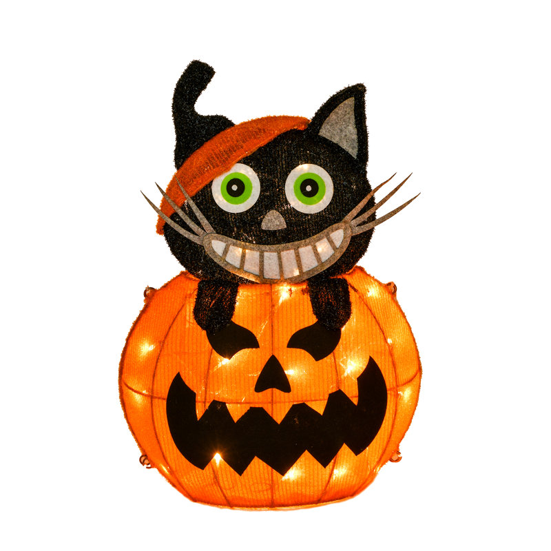 Citrouille d'Halloween pré-éclairée 23 po et chat noir The Holiday Aisle®