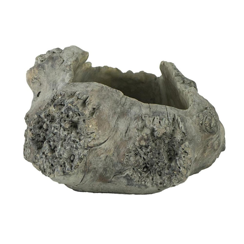 16x9x5.5" Haven Cement Planter, 6" H x 16" W x 9" D