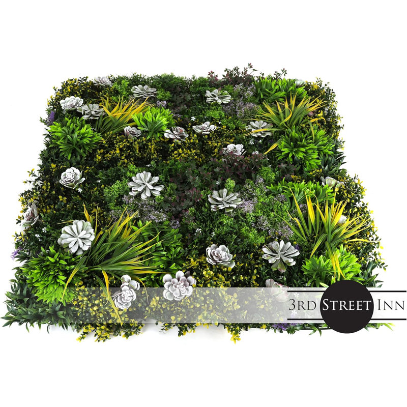 Panneaux de plantes grasses Costal Haven Mix (12 panneaux)