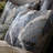 Indochine Traditional Duvet Cover-54963258