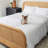 Cotton Blend Bedding-2097801407