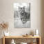 Chat gris Brampt-108536047