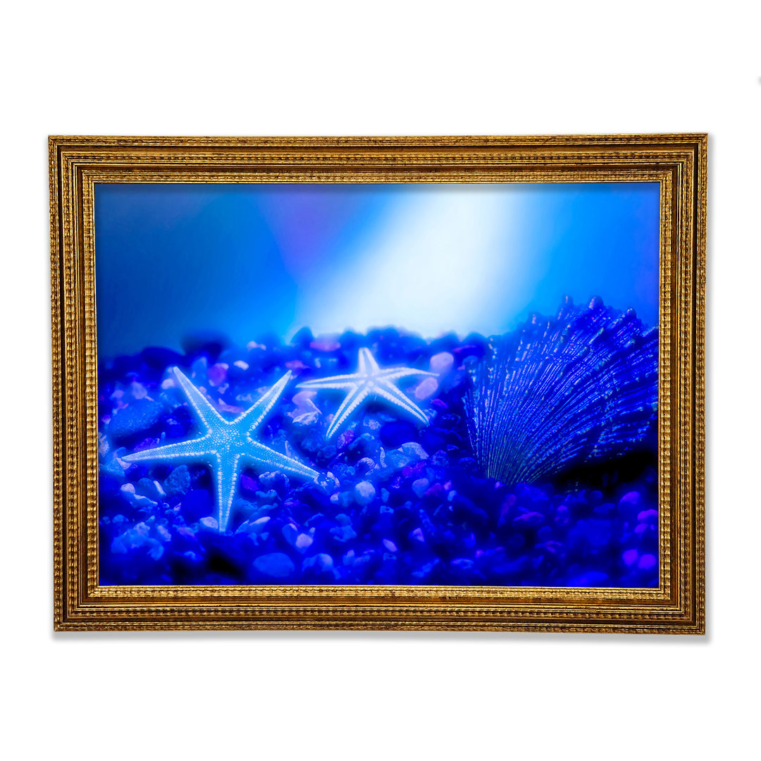 Gerahmtes Leinwandbild Stunning Blue Starfish