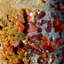 Cristal matriciel Waeth Vanadinite