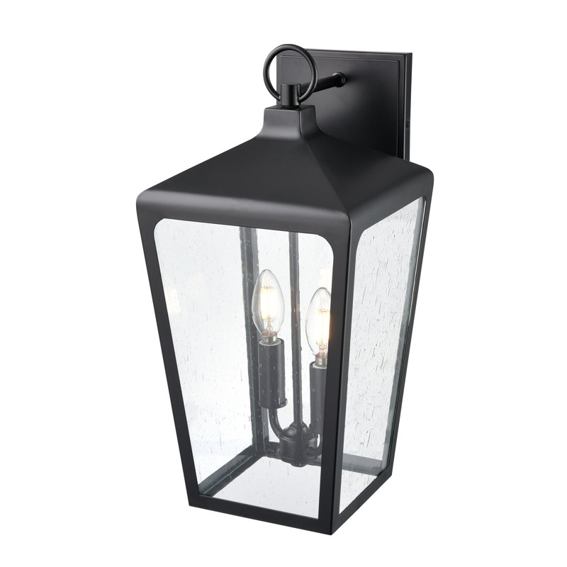 Bryttney 2 Light Outdoor Wall Sconce, Seeded, 18.7" H x 8.98" W x 10" D