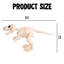 Squelette T-Rex 16 po
