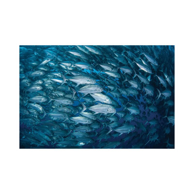 A Massive School of Bigeye Trevally Near Cocos Island 1 Piece Wrapped Canvas Wall Art