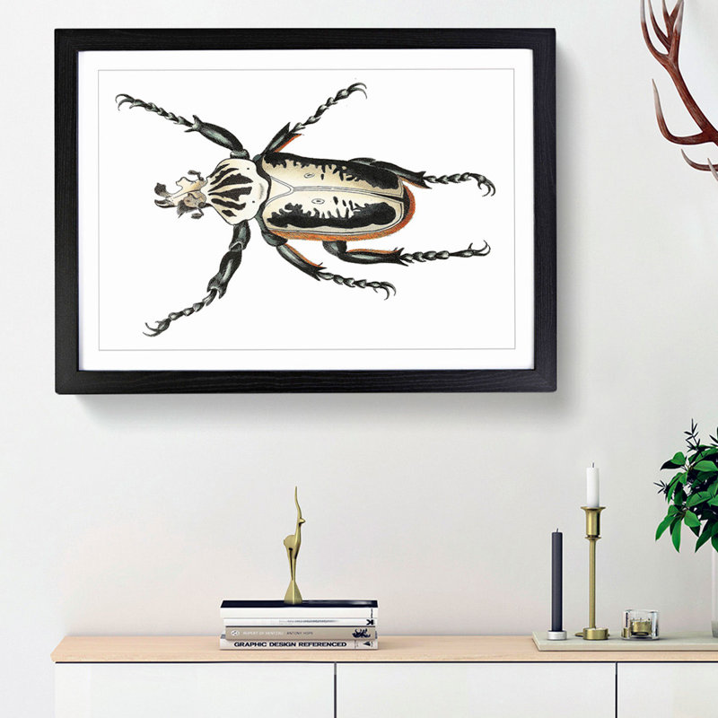 Goliath Beetle by George Shaw - Framed Print, 27cm H x 36cm W x 2cm D, Black Framed