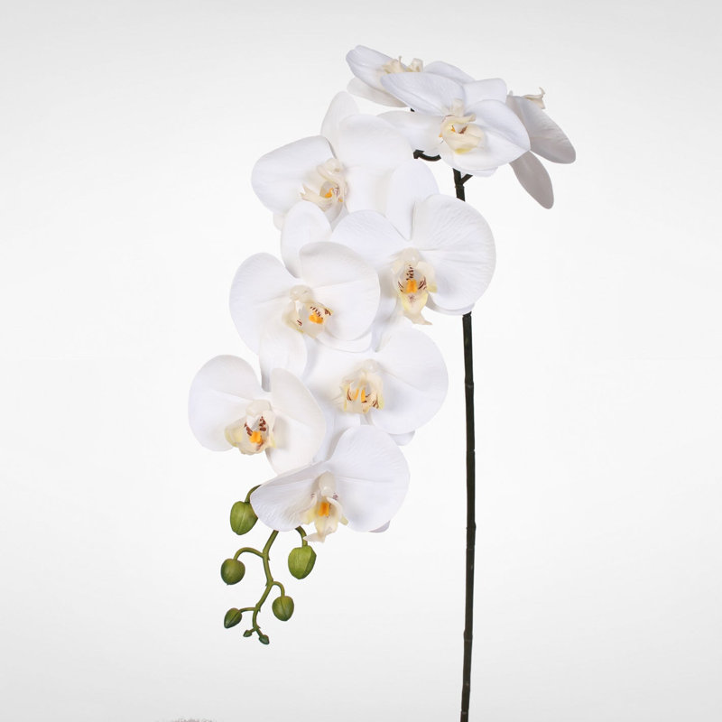 Orchid Faux Floral Arrangement, White, 39" H x 6" W