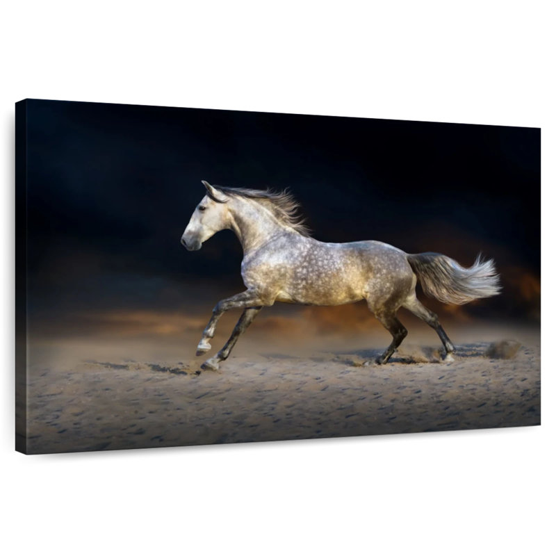 Crowle Dappled Wild Horse