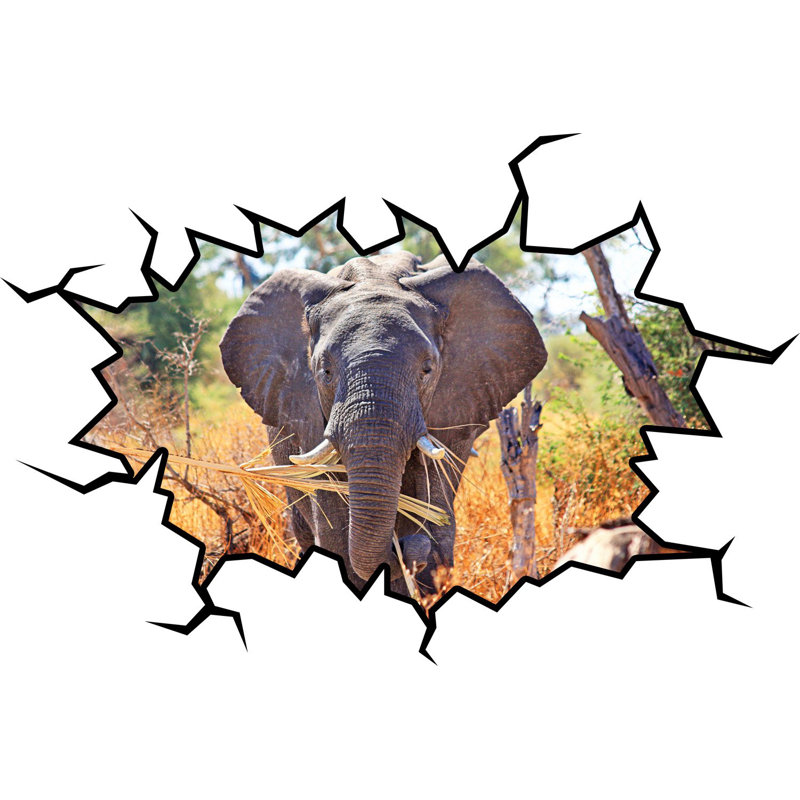 Décalcomanie murale éléphant de safari africain, H 36 po x l 46 po x P 0,01 po