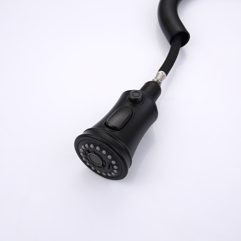 Robinet de cuisine amovible Wesinus, Noir mat