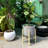 Akea Plant Stand-503534327-503516754